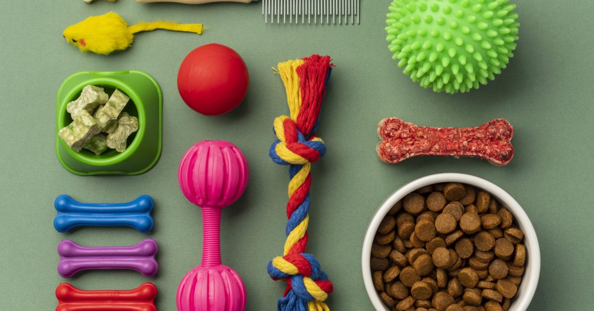 pet-accessories-still-life-concept-set